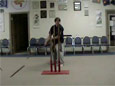 Master Laura Three Bamboo Poles