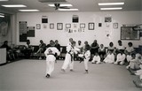 test_tkd_indianola_16