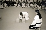 test_tkd_indianola_28