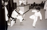 test_tkd_indianola_39