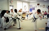 test_tkd_indianola_43